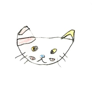 mimamorineko