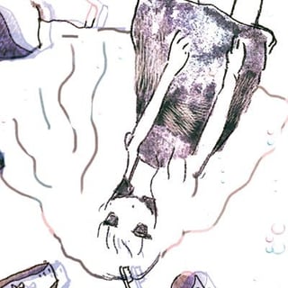 染よだか