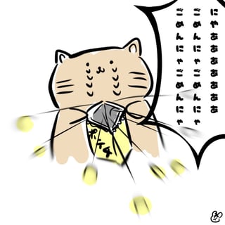 ましゅちゃんち