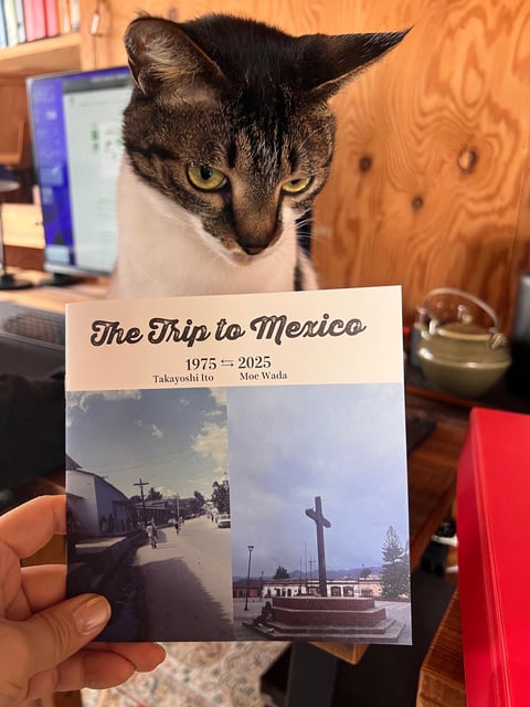 The Trip to Mexico