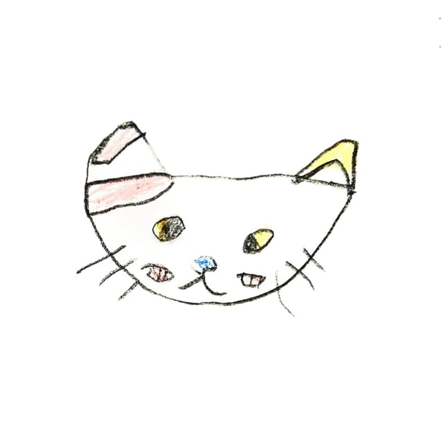 mimamorineko