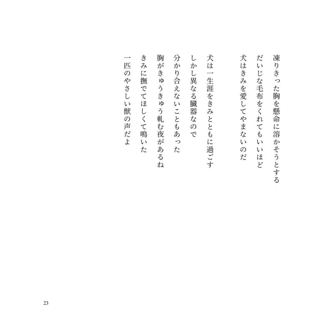 詩集『やわらかく透明な膜』 photo 7