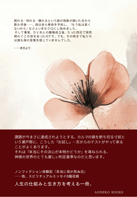 정말로 어머니가 돌아가신 날〜어머니는 그「때」가 오는 것을 알고 계셨다. photo 2