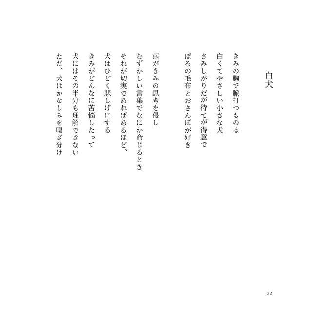 詩集『やわらかく透明な膜』 photo 6