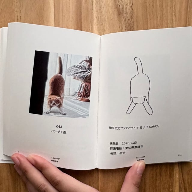Compendium of Subtle Differences photo 3