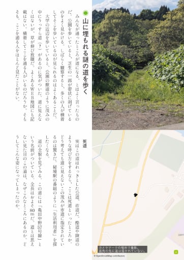 Michikusa: A Fun Town-Walking Magazine — 2025 Mountain Issue (Vol.1) photo 4
