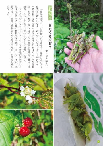 Michikusa: A Fun Town-Walking Magazine — 2025 Mountain Issue (Vol.1) photo 6
