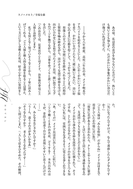 Flare＜フレア＞第三集 photo 37