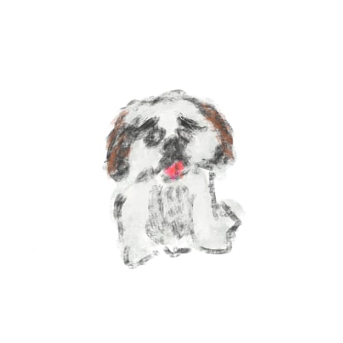 久保みのり