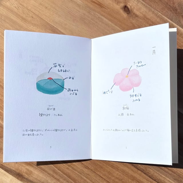 Imaginary Wagashi Shop: A Seasonal Confections Journal photo 3