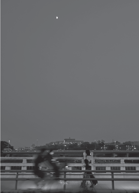 鴨川ARCHIVES #01 photo 5